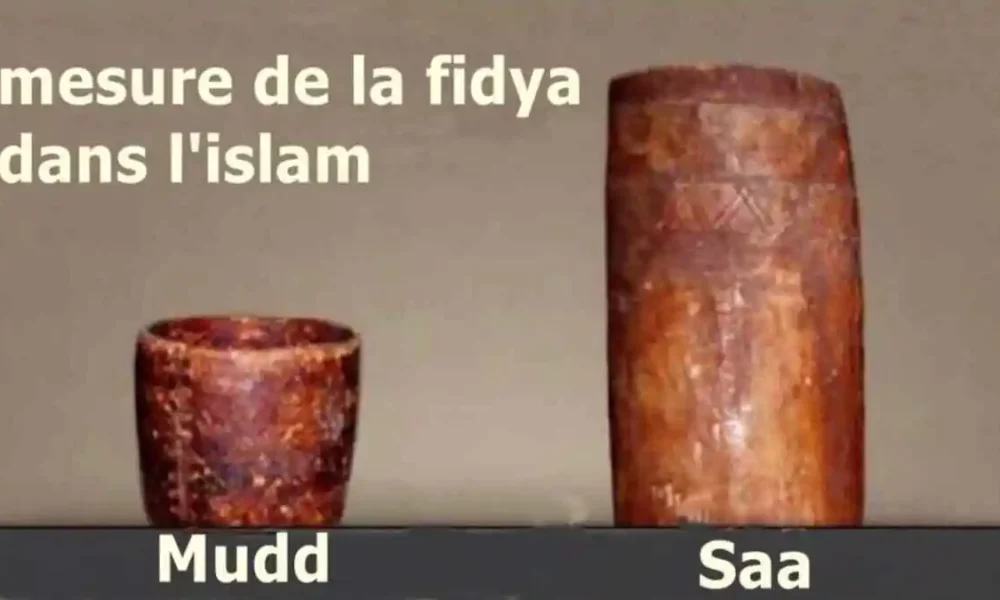 La fidya saa et mud